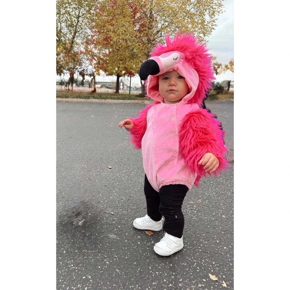 Pottery Barn Kids Baby Pink Flamingo Halloween Costume 6-12 Months